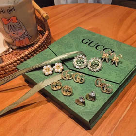 Pendientes de marca (29 modelos)  