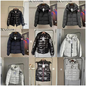 Moncler Madeira serie corto abajo chaqueta con cremallera encapuchado manga larga abajo chaqueta-4287  