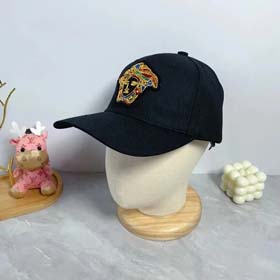 Gorra de béisbol de moda (10 + estilos) -1511